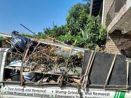 Best Residential Junk Removal  in Malmstrom Af, MT